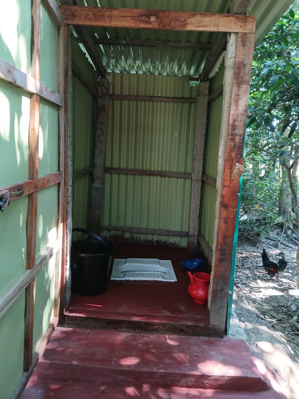 Water, Sanitation & Hygiene (WASH)
