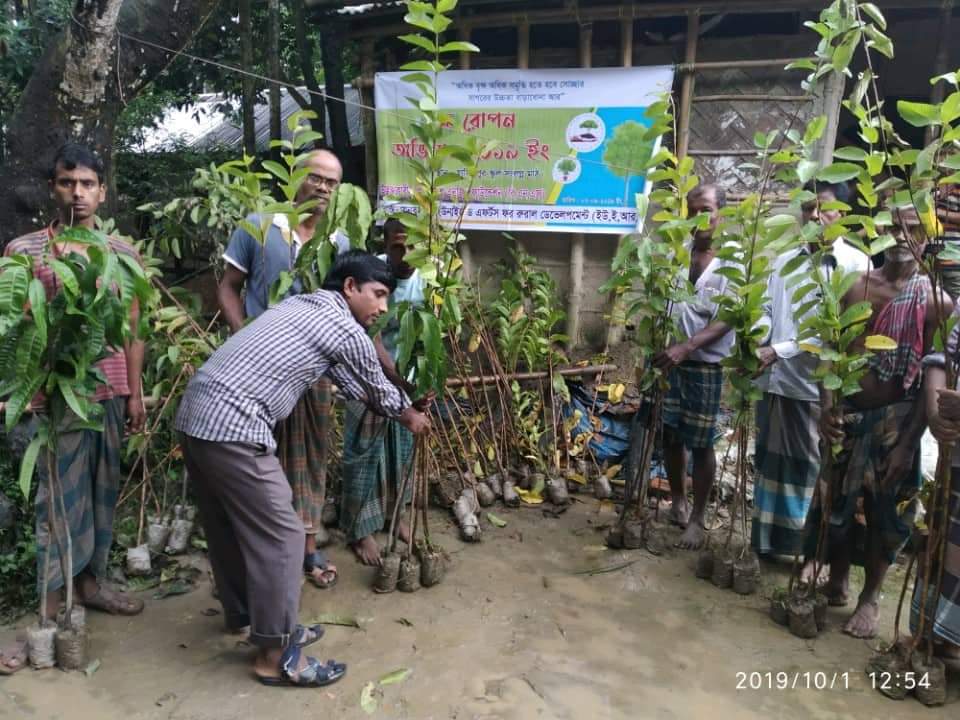 Community Tree Planting and Environmental Awareness Programme